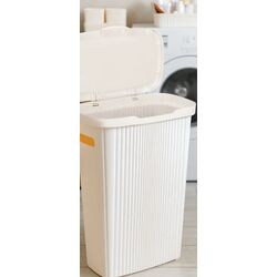 Cos pentru rufe Econova Velvet 60L (White) Thumb