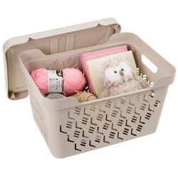 Cos cu capac Econova Deluxe 38x28x22 18L (Beige) Thumb