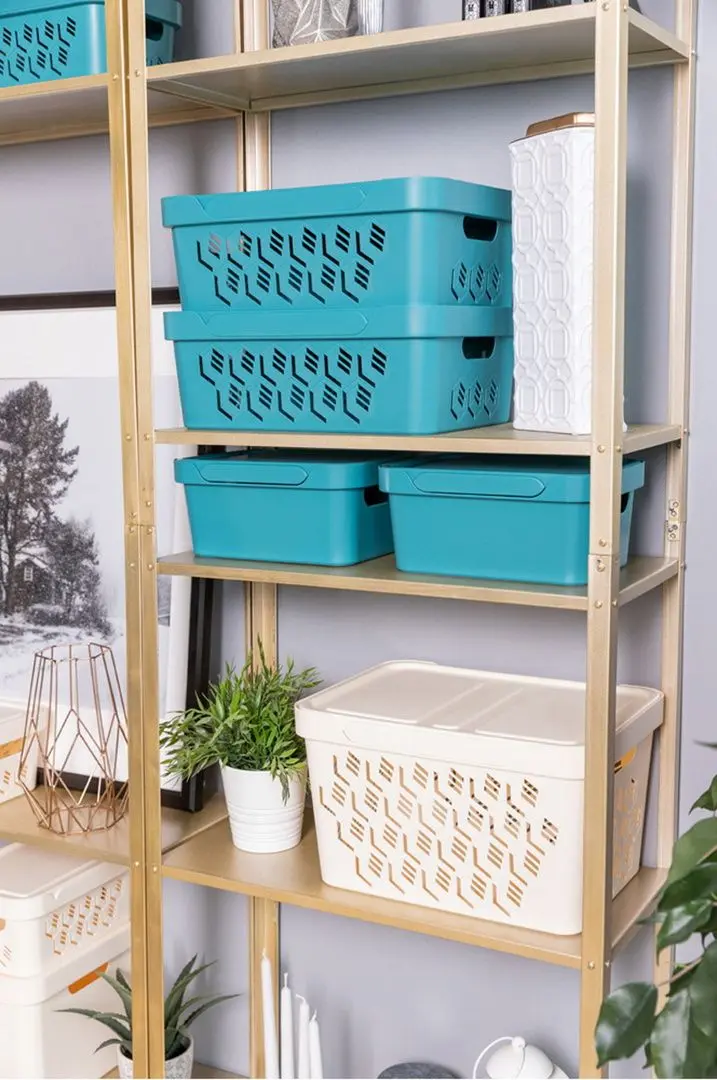 Cos cu capac Econova Deluxe 38x28x22 18L (Ivory) - 2