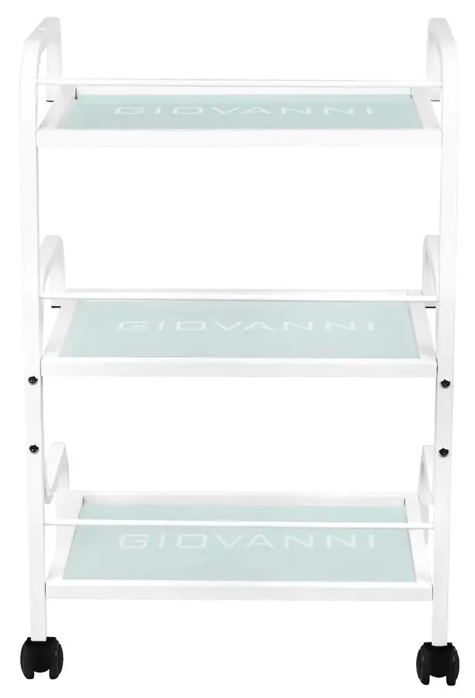 Carucior de frumusete Giovanni 1014 (White)