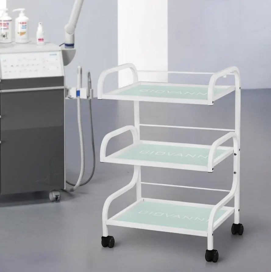 Carucior de frumusete Giovanni 1014 (White)