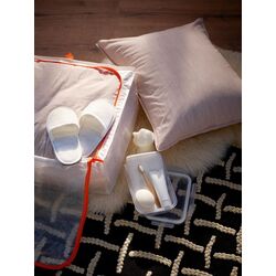 Cutie depozitare Ikea Parkla 503.953.82 55x49x19 (Transparent) Thumb