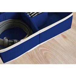 Органайзер Ordinett 30.5x30.5x10cm (Blue) Thumb