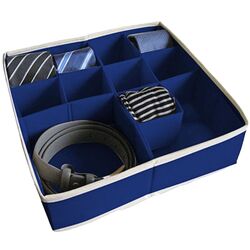 Organizator Ordinett 30.5x30.5x10cm (Blue)
