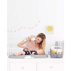 Органайзер для мам Skip Hop 304300 (Grey) Thumb