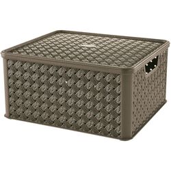 Cos Tontarelli Arianna 8035776 Thumb