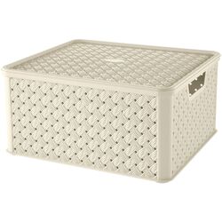 Cos Tontarelli Arianna 8035776