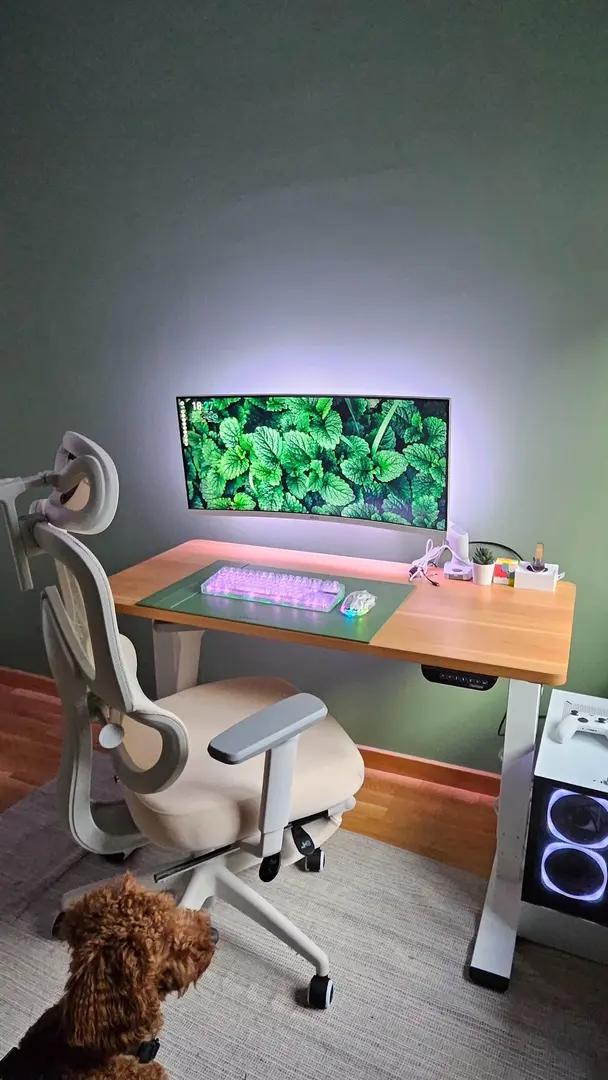 Set panou LED pentru televizor Govee RGBIC TV H6046311 (Black)