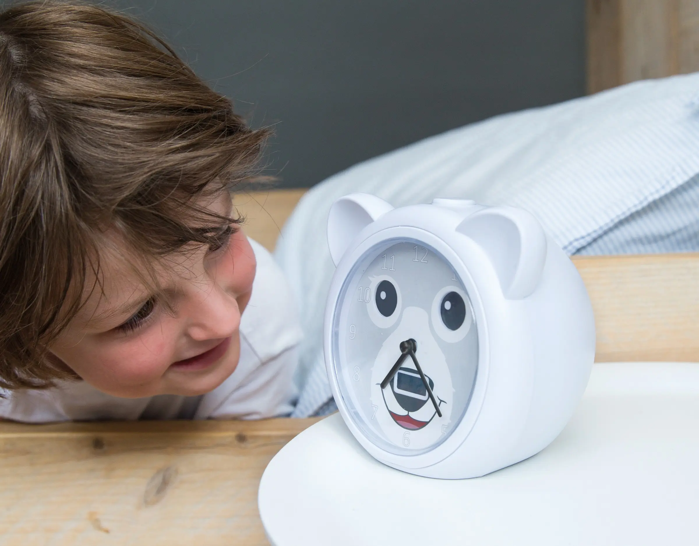 Будильник Zazu Bobby the bear (White/Grey) - 5