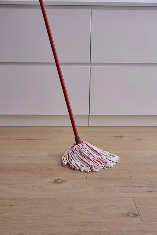 Mop Vileda Microfibre And Power (Red/White) - 4
