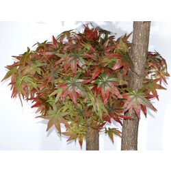 Copac artificial Cilgin G163A Guz Agaci 2.15m (Brown) Thumb