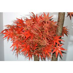 Copac artificial Cilgin G163A Guz Agaci 2.15m (Red) Thumb