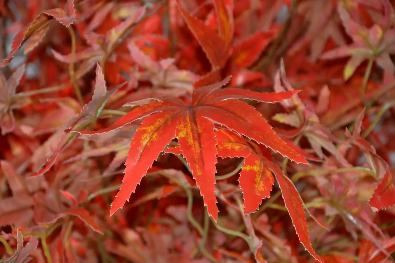 Copac artificial Cilgin G163A Guz Agaci 2.15m (Red)