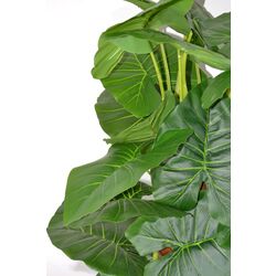 Planta artificiala Cilgin A133B Uzun Difenbahya 1.70m Thumb