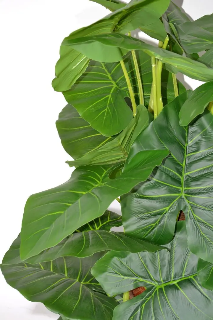 Planta artificiala Cilgin A133B Uzun Difenbahya 1.70m