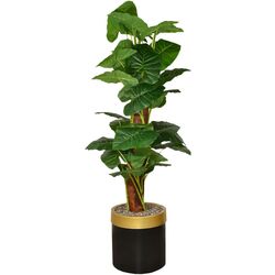 Planta artificiala Cilgin A133B Uzun Difenbahya 1.70m Thumb