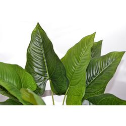 Planta artificiala Cilgin G186S Cim Detayli Yapay Yelken Agaci 55cm Thumb