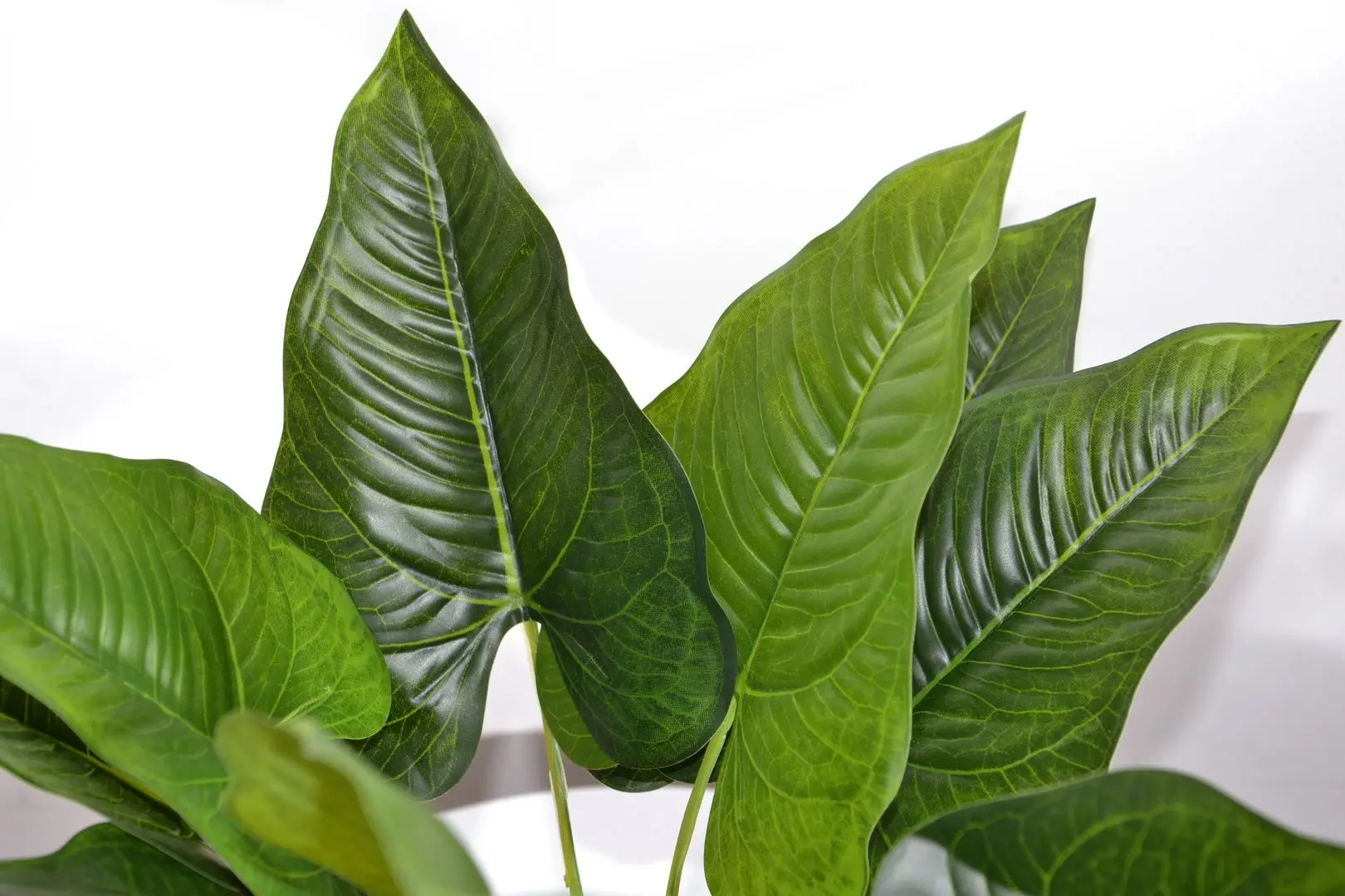 Planta artificiala Cilgin G186S Cim Detayli Yapay Yelken Agaci 55cm