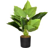 Planta artificiala Cilgin G186S Cim Detayli Yapay Yelken Agaci 55cm