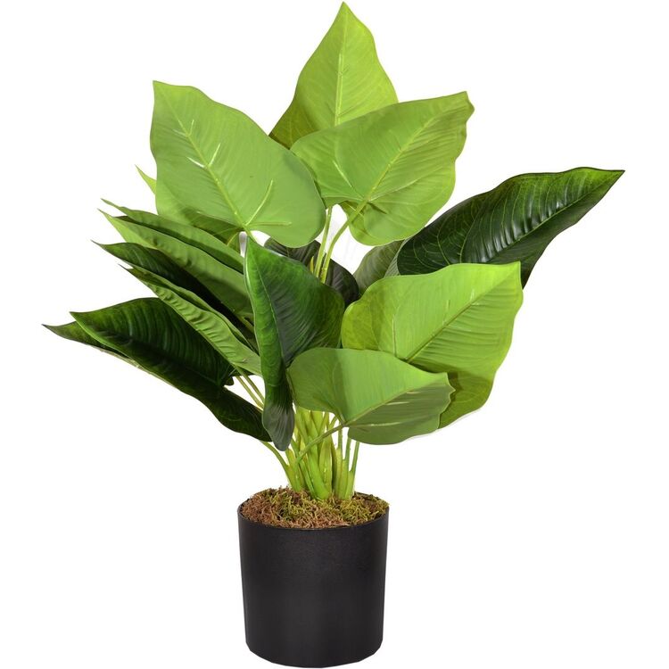 Planta artificiala Cilgin G186S Cim Detayli Yapay Yelken Agaci 55cm