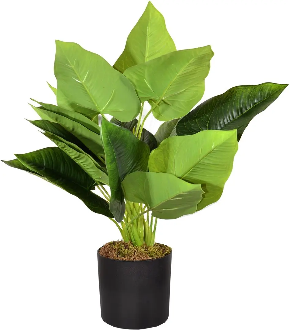 Planta artificiala Cilgin G186S Cim Detayli Yapay Yelken Agaci 55cm