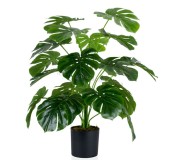 Planta artificiala Cilgin G333 Monstera 60cm