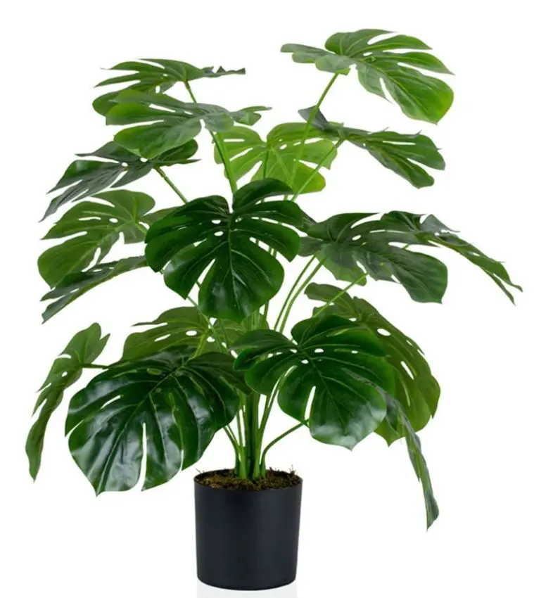 Planta artificiala Cilgin G333 Monstera 60cm