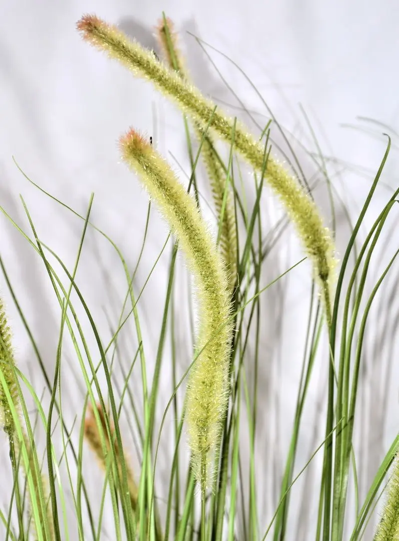 Planta artificiala Cilgin M98 Yapay Sazlik Agac 155cm (Green)