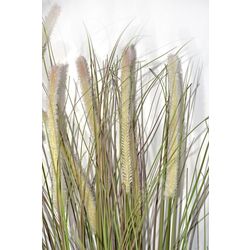 Planta artificiala Cilgin M98 Yapay Sazlik Agac 155cm (Green/Brown) Thumb