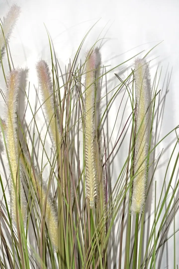 Planta artificiala Cilgin M98 Yapay Sazlik Agac 155cm (Green/Brown)