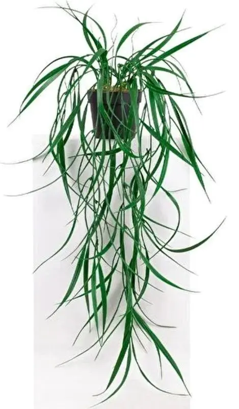 Planta artificiala Cilgin CLG729PS Chlorophytum