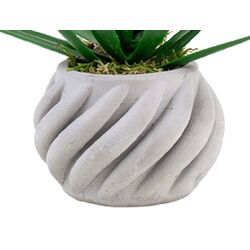 Planta artificiala Cilgin K200A Aloe Vera 17cm Thumb