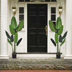 Растение искусственное Costway Tropical Palm HZ10194 160cm (Green) Thumb