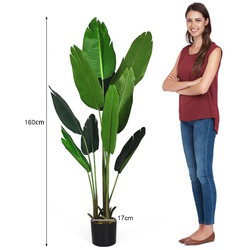 Растение искусственное Costway Tropical Palm HZ10194 160cm (Green) Thumb