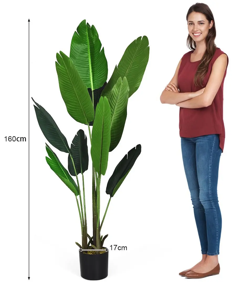 Растение искусственное Costway Tropical Palm HZ10194 160cm (Green)