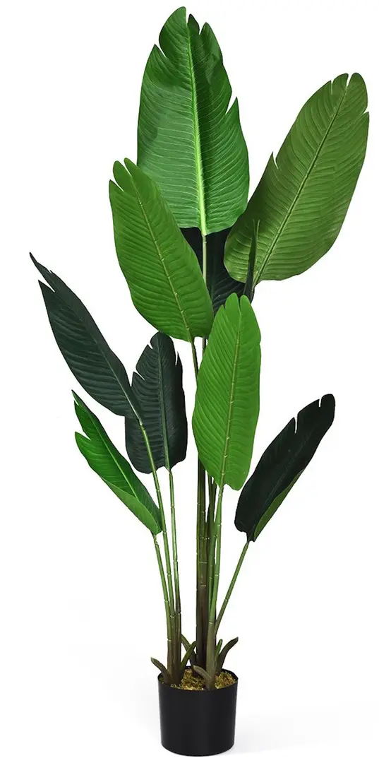 Растение искусственное Costway Tropical Palm HZ10194 160cm (Green)