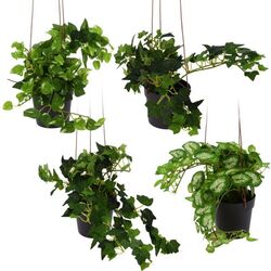 Растение искусственное Excellent Houseware Плющ 3 ветки 83cm Thumb