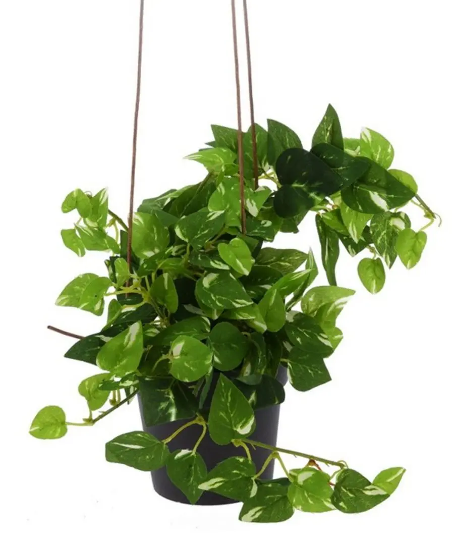 Растение искусственное Excellent Houseware Плющ 3 ветки 83cm