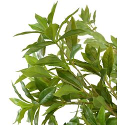 Искусственное дерево DP Andromeda 170cm (Green) Thumb