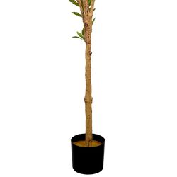 Искусственное дерево DP Andromeda 170cm (Green) Thumb