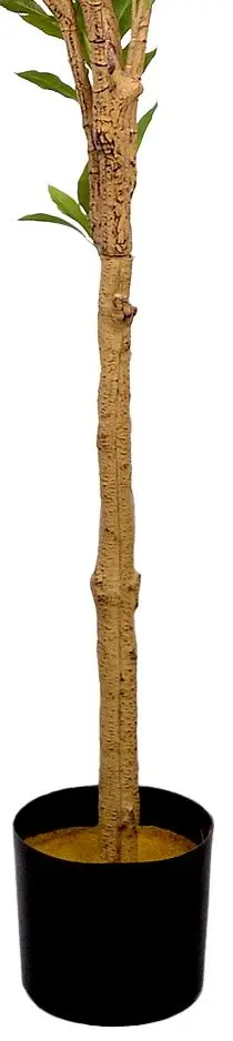 Искусственное дерево DP Andromeda 170cm (Green)