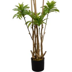 Искусственное дерево DP Dracaena Reflexa 200cm (Green) Thumb