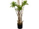 Copac artificial DP Dracaena Reflexa 200cm (Green)