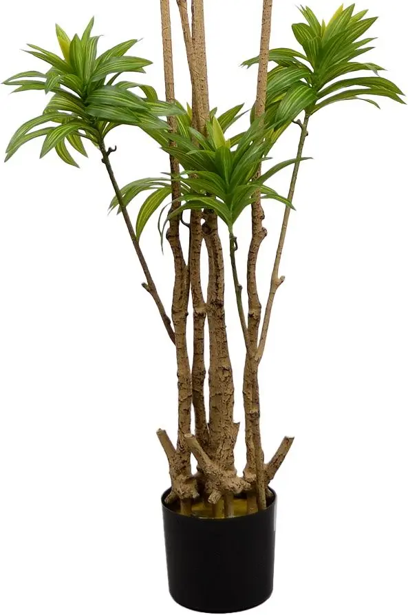 Искусственное дерево DP Dracaena Reflexa 200cm (Green)