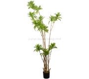 Copac artificial DP Dracaena Reflexa 200cm (Green)