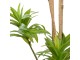 Copac artificial DP Dracaena Reflexa 200cm (Green)