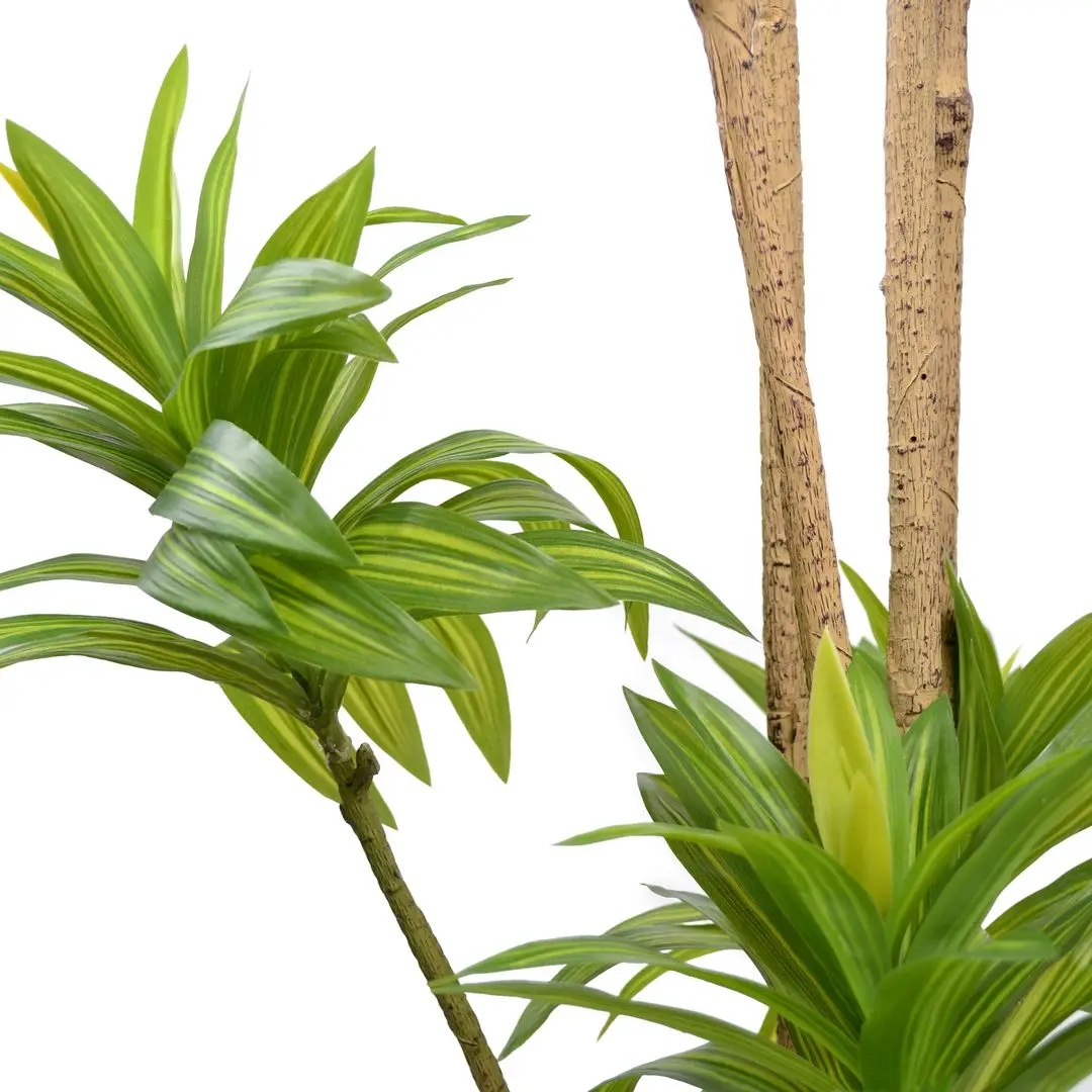 Искусственное дерево DP Dracaena Reflexa 200cm (Green)