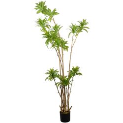 Copac artificial DP Dracaena Reflexa 200cm (Green)
