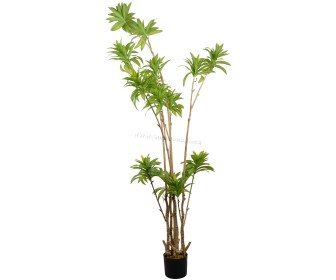 Copac artificial DP Dracaena Reflexa 200cm (Green)