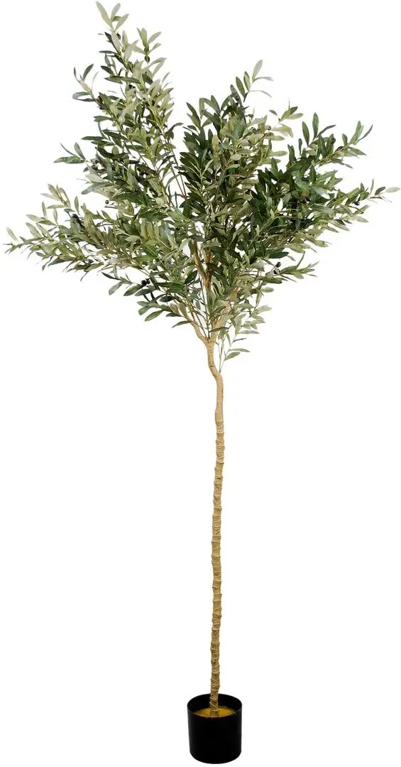 Copac artificial DP Olive 180cm (Green)